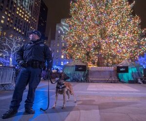 Policing and Stress Management During the Holidays
